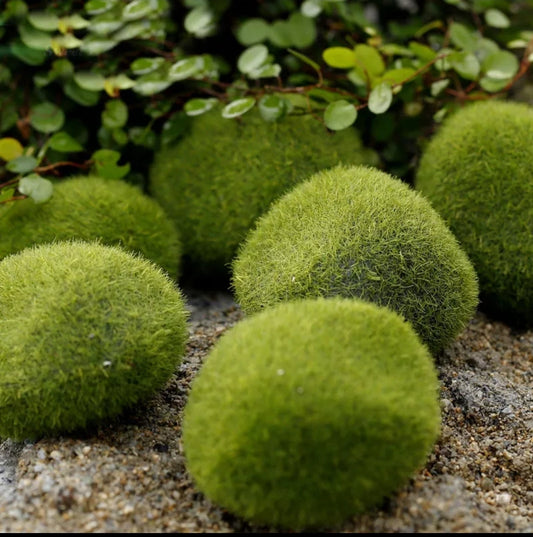 3 Piece Moss Covered Stones